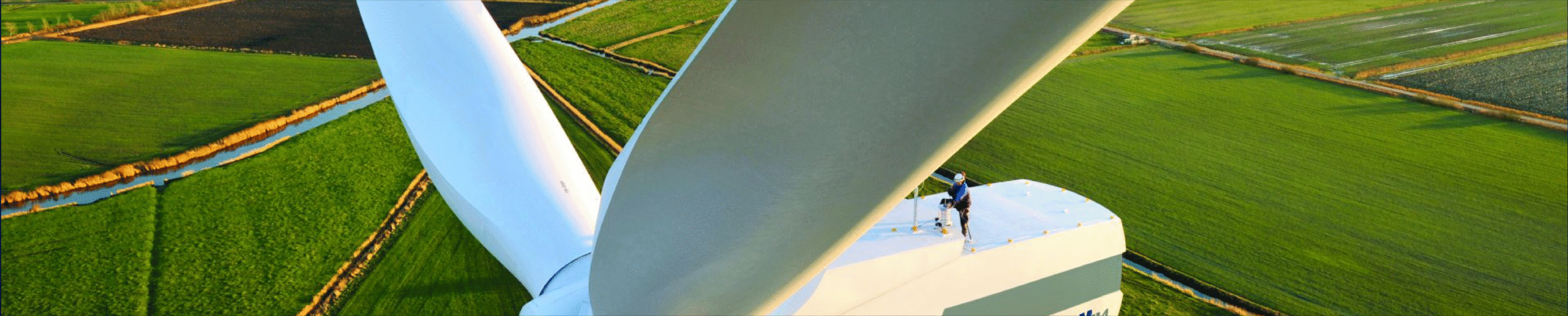 Dg@300x Scaled E1752407487978